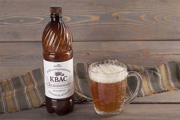 Lợi ích và tác hại của kvass