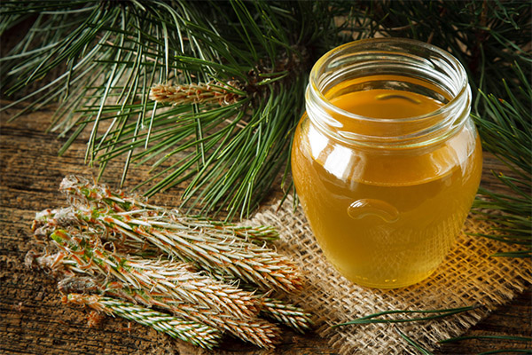 The benefits and harms of forest honey