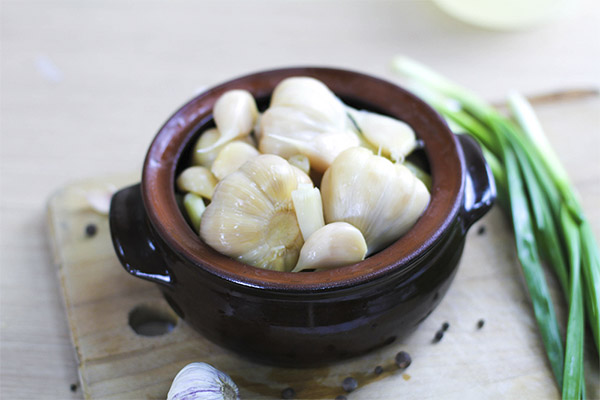 De voordelen en nadelen van gepekelde knoflook