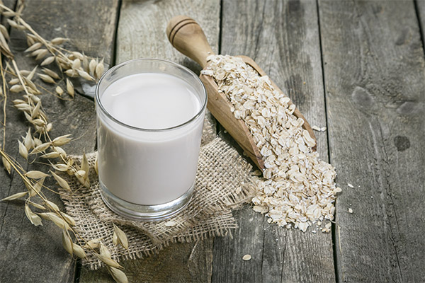 I benefici e i danni del latte d'avena