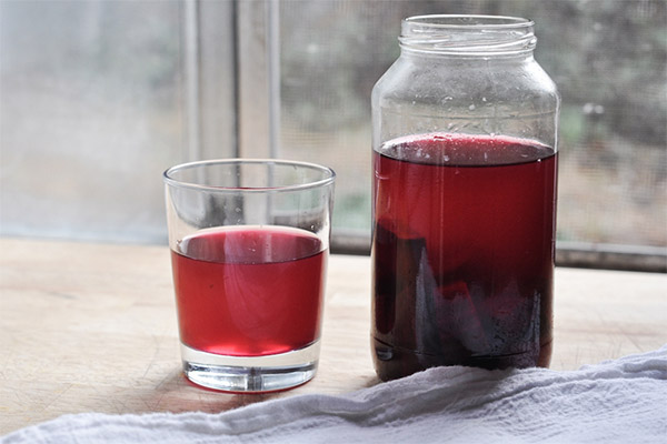 Fordelene og skadene med rødbeter kvass