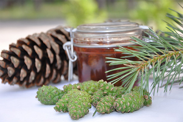 Die Vor- und Nachteile von Marmelade aus Tannenzapfen