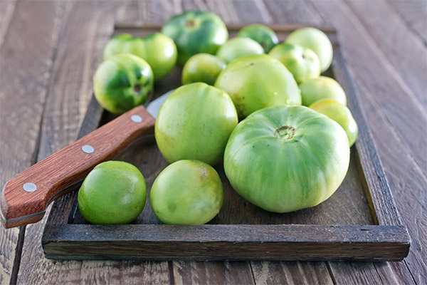 De voordelen en nadelen van groene tomaten