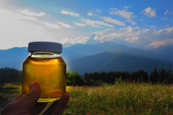 The use of mountain honey in medicine