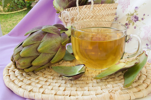 Resipi ubat tradisional dengan artichoke