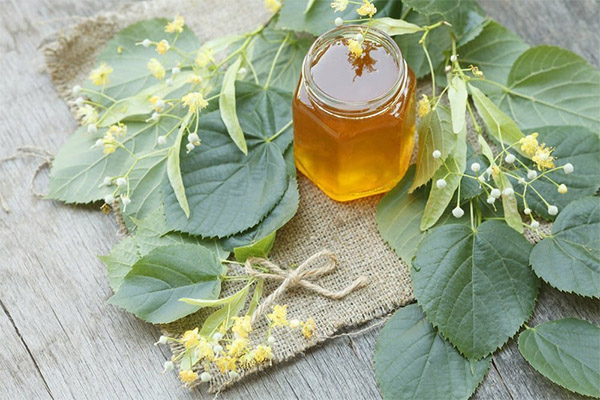 Tradicionālās medicīnas receptes ar liepu medu