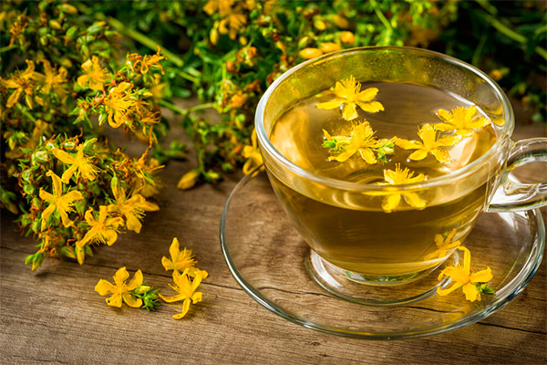 Jenis sebatian perubatan dengan St. John's wort