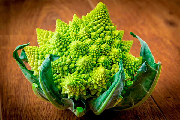 Dommages et contre-indications pour le chou Romanesco