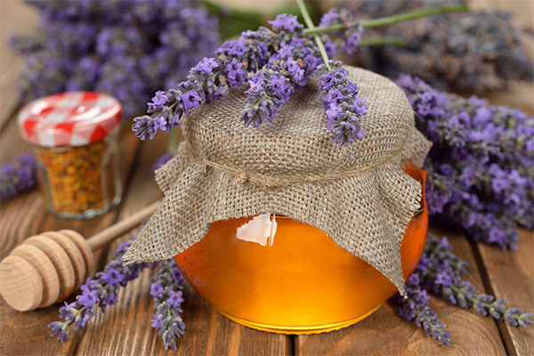 ¿Para qué sirve la miel de lavanda?