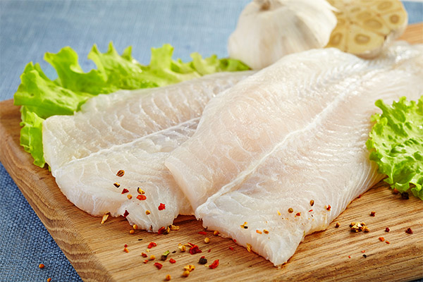 Waarom pangasius nuttig is