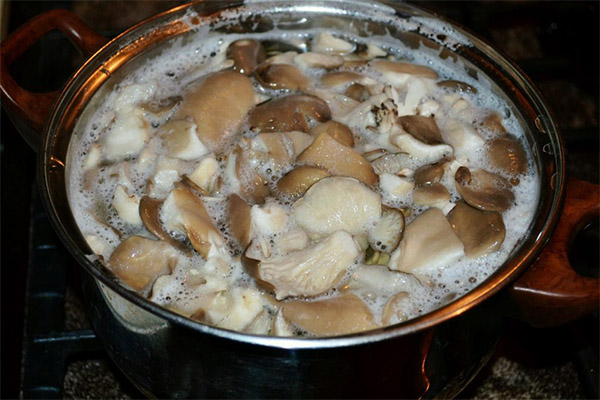 How to boil mushrooms