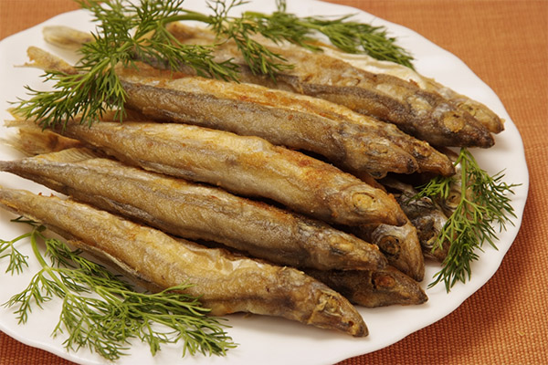 Hoe capelin lekker te koken