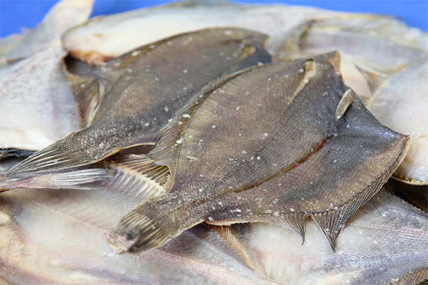 Paano pumili at mag-imbak ng flounder