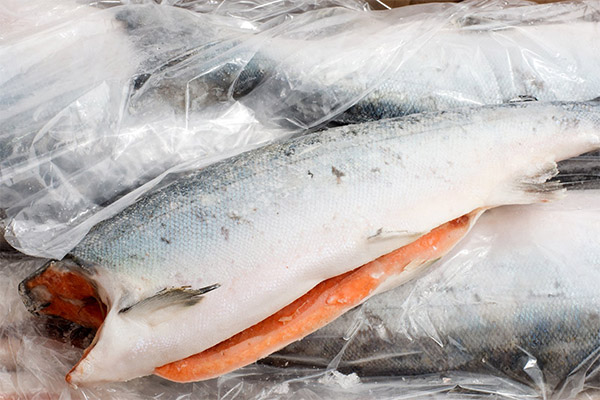 How to choose and store chum salmon