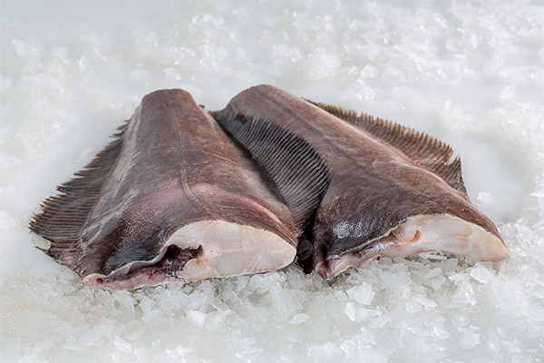 Paano pumili at mag-imbak ng halibut