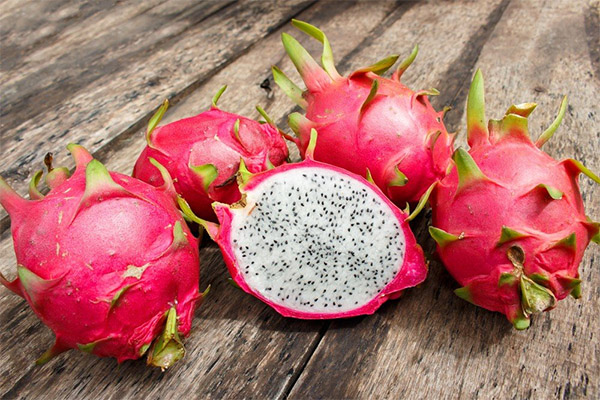 Pitahaya kiezen en opslaan