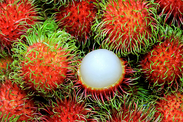 Hvordan velge og lagre rambutan