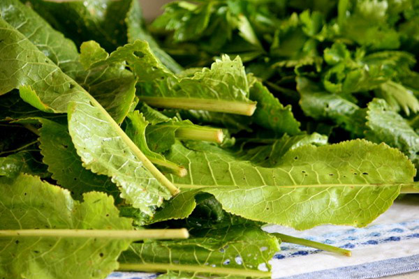 The use of horseradish leaves in cooking