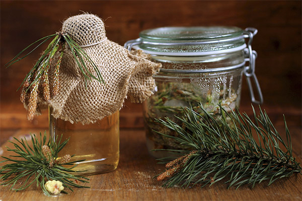 Types of medicinal compounds with pine needles