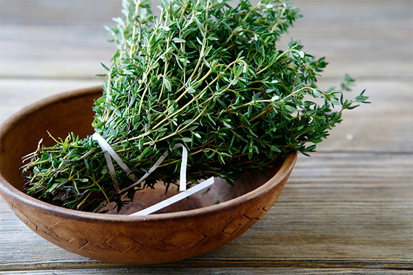 Thyme dalam masakan