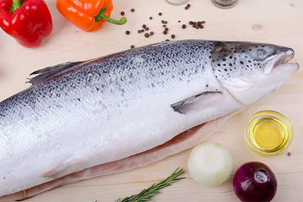 Cosa può essere cucinato dal salmone