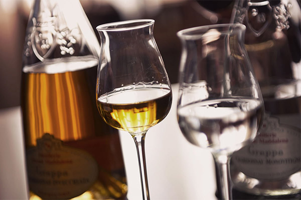 Comment boire de la grappa