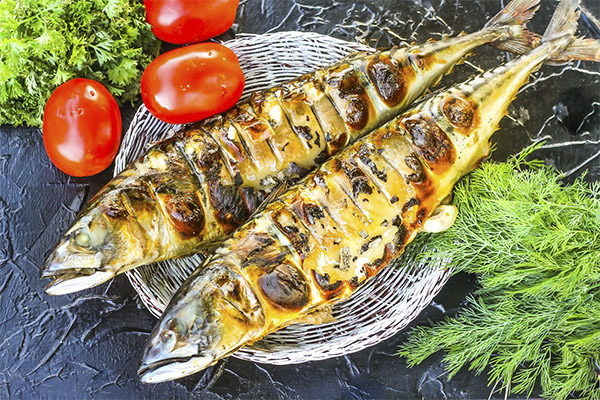 How to Make Mackerel Deliciously