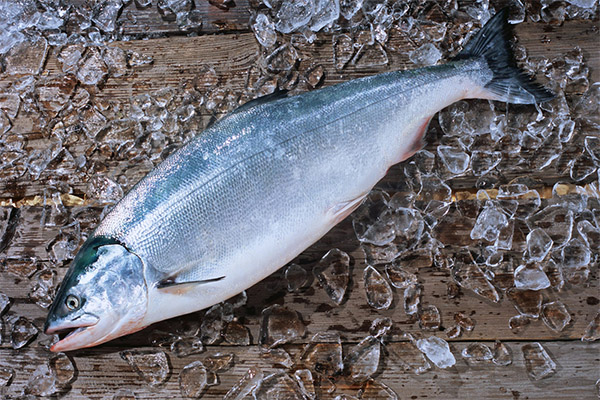 Paano pumili at mag-imbak ng salmon