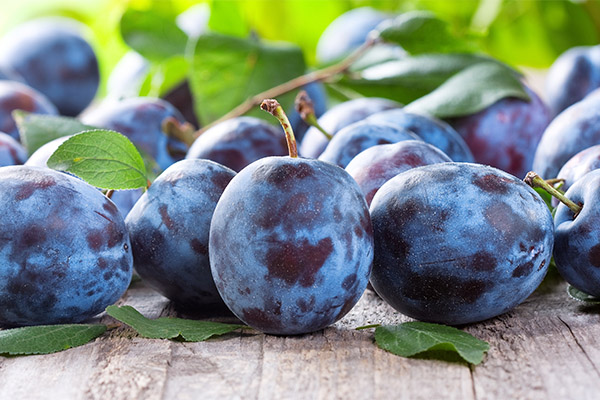 How to choose a plum for jam