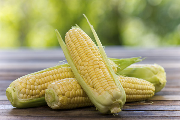 Quais vegetais podem e não devem ser usados ​​para gastrite