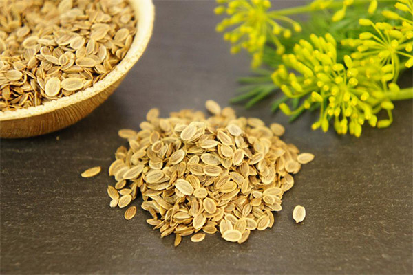 What seeds can and should not be used for pancreatitis