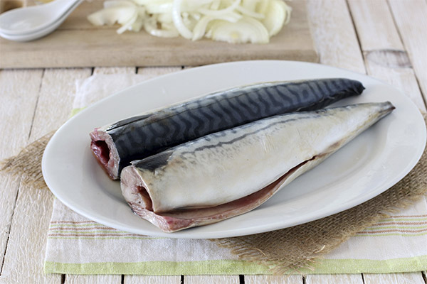 Welke vis en zeevruchten wel en niet mogen worden geconsumeerd bij gastritis