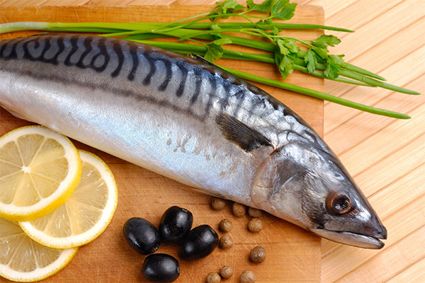 What kind of fish and seafood can and should not be consumed with pancreatitis