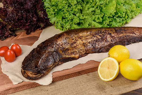 Is smoked catfish good for you?