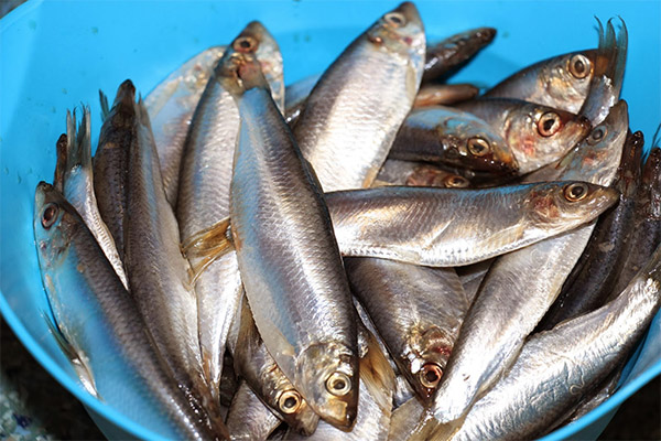 คุณสมบัติที่มีประโยชน์ของ sprats