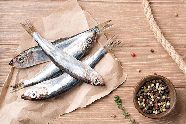 Les avantages et les inconvénients des sprats