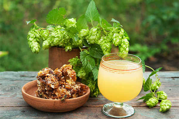 Mead'in yararları ve zararları