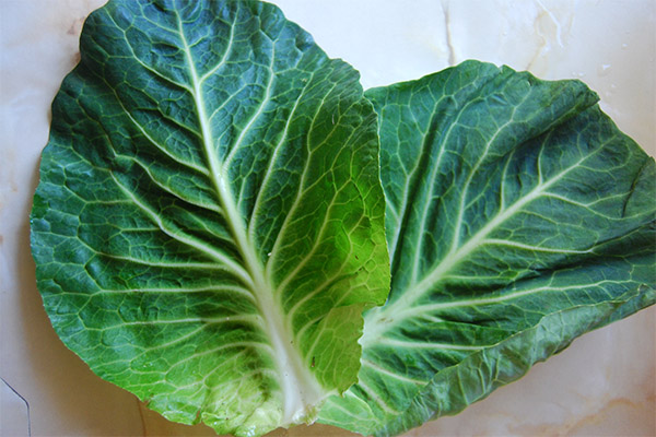 The use of cabbage leaf in cosmetology