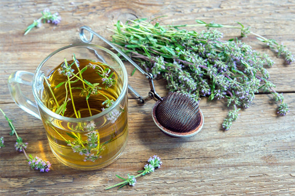 Jenis sebatian ubat dengan thyme