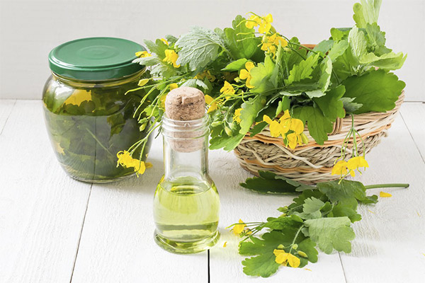 Types of healing compounds with celandine