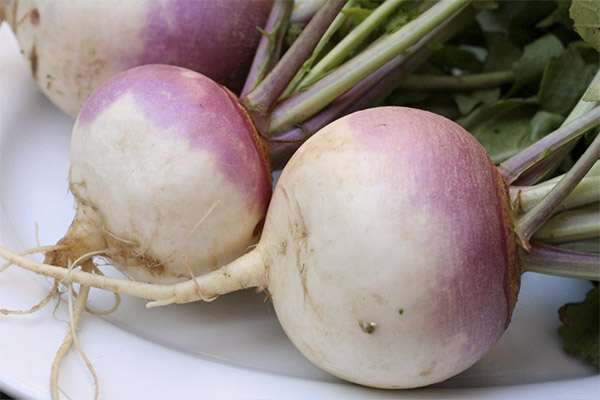 Kozmetolojide Rutabaga