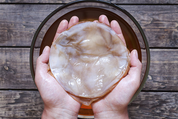 ¿Qué pasará si comes kombucha?