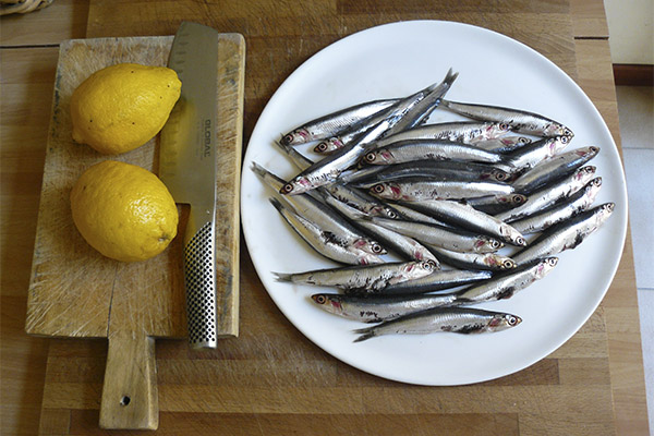 Apa yang boleh dimasak dari ikan bilis