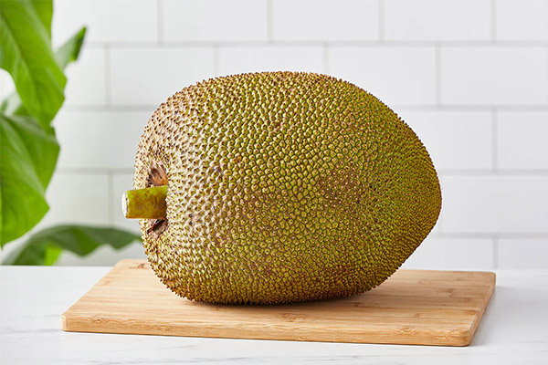 Cosa può essere cucinato da jackfruit