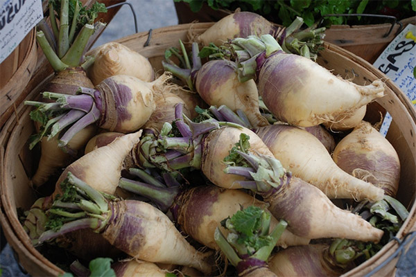 Rutabaga hakkında ilginç gerçekler