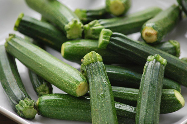 Interessante feiten over courgette