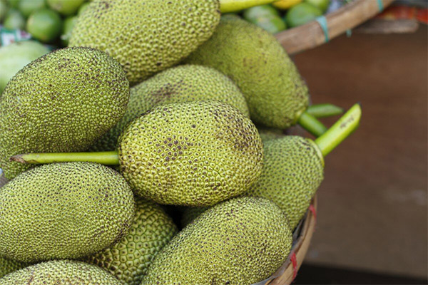 Interessante Jackfruit-feiten