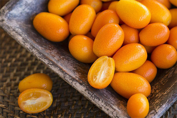 Ενδιαφέροντα γεγονότα Kumquat