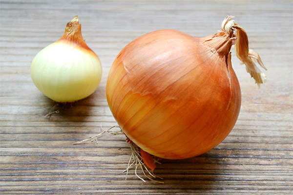 Interesting facts about onions