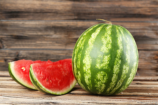 Interessante Fakten über Wassermelone